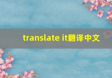 translate it翻译中文